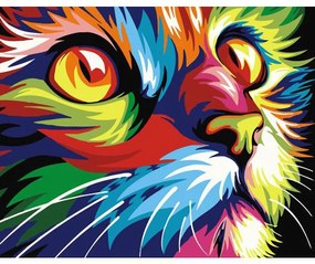 PIPPER | Pictura pe numere cu un cadru "Pisică colorată" 50x40 cm