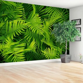 Fototapet Green Fern