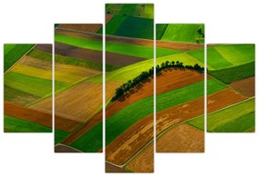 Tablou - Lan, luncile (150x105 cm)