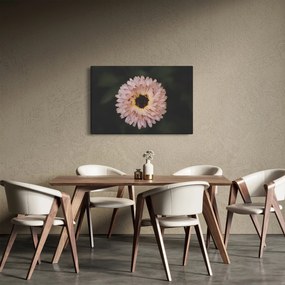 Tablou cu floare portocalie (90x60 cm)