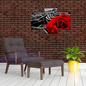 Tablou - Flori de trandafir (90x60 cm)