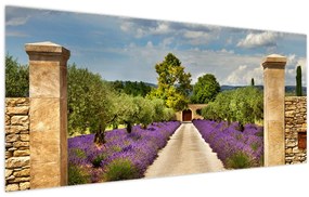 Tablou - Căi de lavandă (120x50 cm)