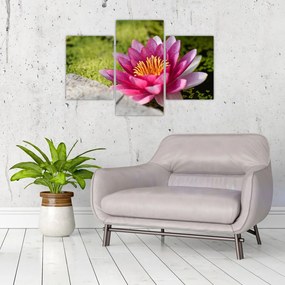 Tablou - Lotus (90x60 cm)