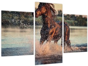 Tablou - Cal care aleargă (90x60 cm)