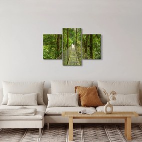 Tablou - Pod suspendat (90x60 cm)