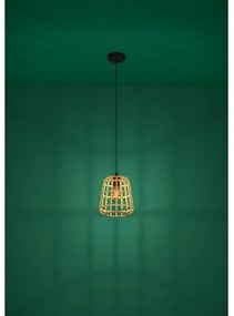 Lustră pe cablu Eglo 390152 MONTEZUELO 1xE27/40W/230V d. 24 cm maro