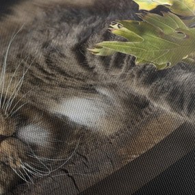 Tablou - Pisica mincinoasă (120x50 cm)