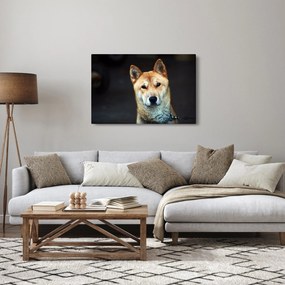 Tablou cu câine (90x60 cm)