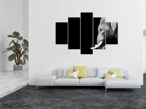 Tablou - Elefant (150x105 cm)