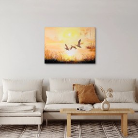 Tablou - Macarale la apus de soare (70x50 cm)