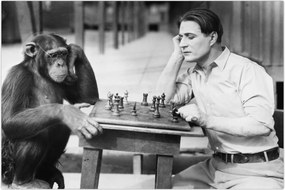 Tablou - Circ 2 (90x60 cm)