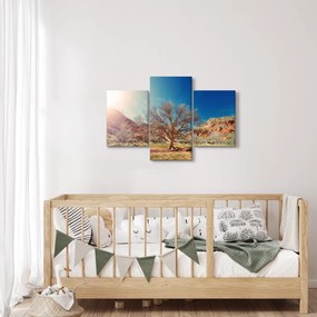Tablou cu cu copac în deșert (90x60 cm)