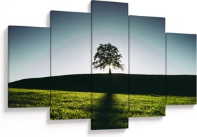 Tablou cu natura - copac (150x105 cm)