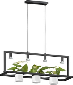 Zuma Line Planter lampă suspendată 4x7 W negru P0536-04B-P7AB