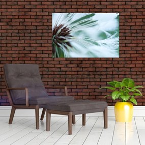 Tablou - Detaliu floare (90x60 cm)