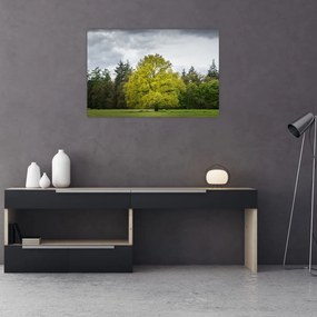 Tablou - Copac verde în câmp (90x60 cm)