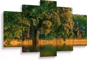 Tablou cu girafe în natură (150x105 cm)