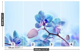 Fototapet Orhideele tropical