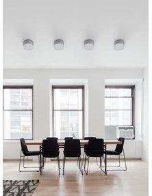 Palnas 66001487 - Plafonieră LED exterior BRUNO LED/10W/230V IP54