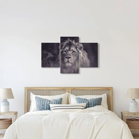 Tablou cu leu (90x60 cm)
