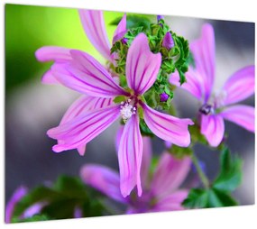 Tablou pe sticlă cu floarea detailat (70x50 cm)