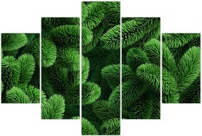 Tablou - Ramuri de conifere (150x105 cm)