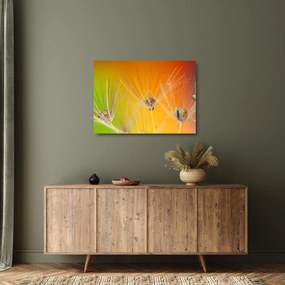 Tablou pe sticlă cu picături pe plantă (70x50 cm)