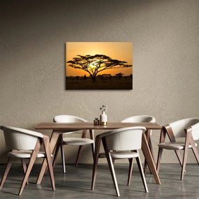 Tablou - Savana africană (70x50 cm)
