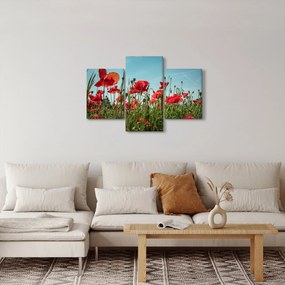 Tablou - Pe câmpul cu maci (90x60 cm)