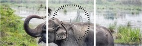 Tablou - Elefant de scăldat (cu ceas) (90x30 cm)