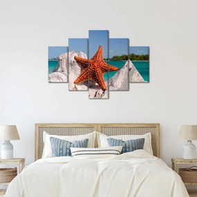 Tablou cu stea de mare (150x105 cm)