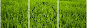 Tablou cu iaraba (cu ceas) (90x30 cm)