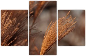 Tablou - Cortaderie (90x60 cm)