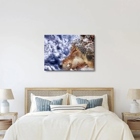 Tablou cu lup (70x50 cm)