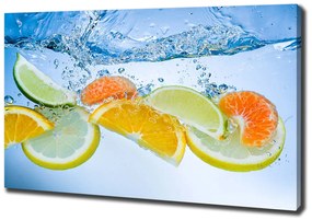 Tablou canvas Citrus sub apă
