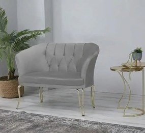 Canapea 2 locuri  Viena Homs,gri-auriu