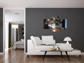 Tablou cu pisica (90x60 cm)