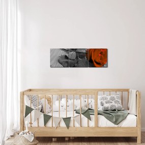 Tablou - Trandafir portocaliu (cu ceas) (90x30 cm)