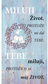 Tablou decorativ Bohemia Gifts Iubesc viața , 20x 40 cm