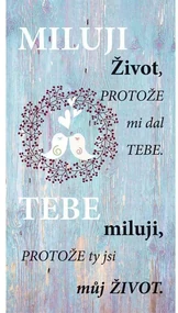 Tablou decorativ Bohemia Gifts Iubesc viața , 20x 40 cm