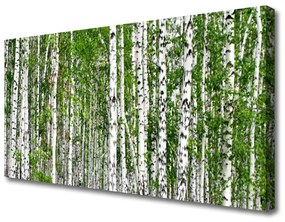 Tablou pe panza canvas Birch Forest Copaci Natura Verde Alb