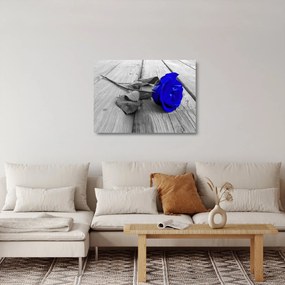 Tablou pe sticlă - Trandafir albastru (70x50 cm)