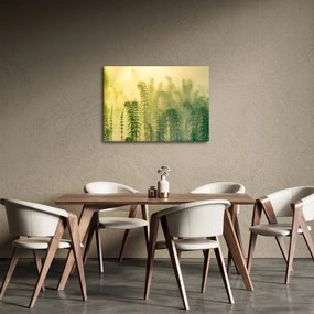 Tablou - Detaliu de primăvară natura cețoasă (70x50 cm)