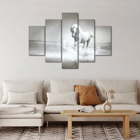 Tablou - Cal alb (150x105 cm)