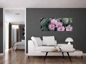 Tablou floare de cactus (120x50 cm)
