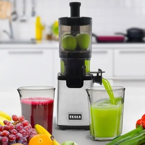 Storcător melcat pentru fructe și legume TESLA Electronics SlowJuicer Deluxe 250W/230V oțel inoxidabil