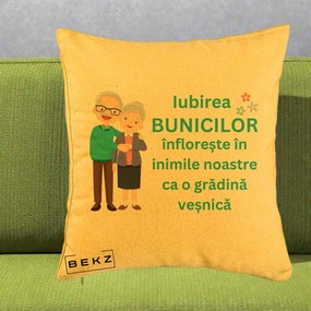 Cadou pentru Bunici - Perna Personalizata Bunicii Iubirea Infloreste Cuplu Senior Teal, 40x40 cm, Galben, Husa Detasabila, Perna Inclusa, BEKZ®
