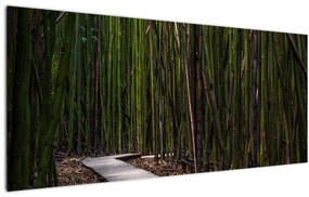 Tablou - Între bambus (120x50 cm)