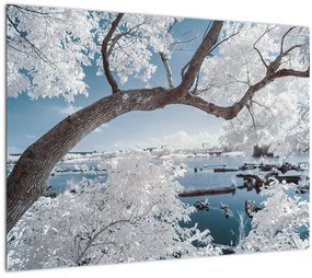 Tablou pe sticlă cu copac înzăpezit lângă apă (70x50 cm)