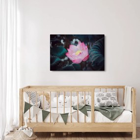 Tablou cu floare roz (90x60 cm)
